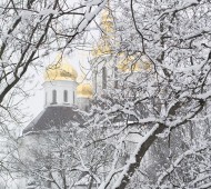 Березень. Ось така весна у Чернігові / Юлія Лиса