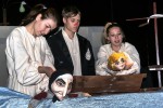 ляльковій трупі «Ельф» Чернігівського обласного театру для дітей та молоді