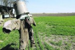 Эксперт: В этом году не ожидается роста прибыльности сельского хозяйства