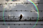 Дело львовского студента-заложника в России